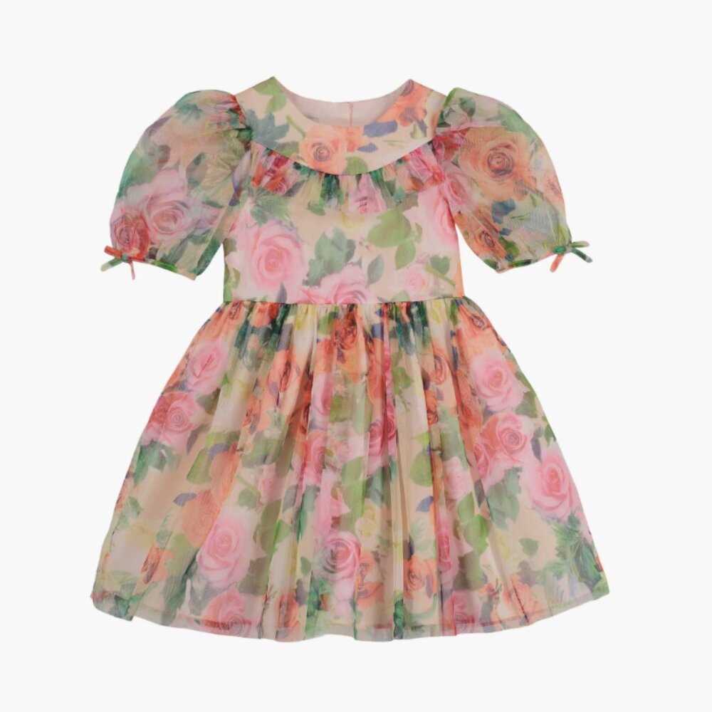 Pippa & Julie Floral Puff Sleeve Mesh Dress, 6